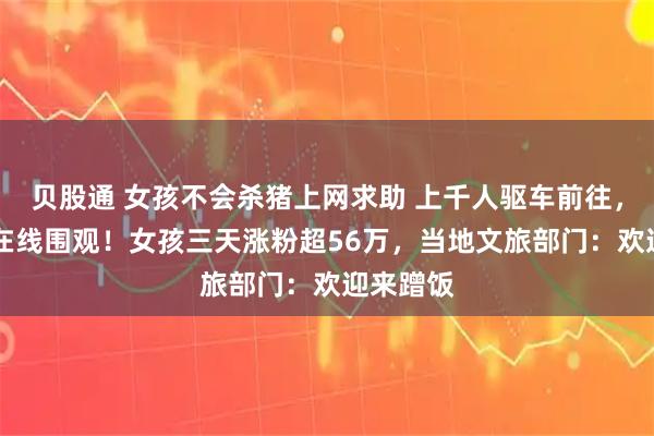 贝股通 女孩不会杀猪上网求助 上千人驱车前往，10万人在线围观！女孩三天涨粉超56万，当地文旅部门：欢迎来蹭饭