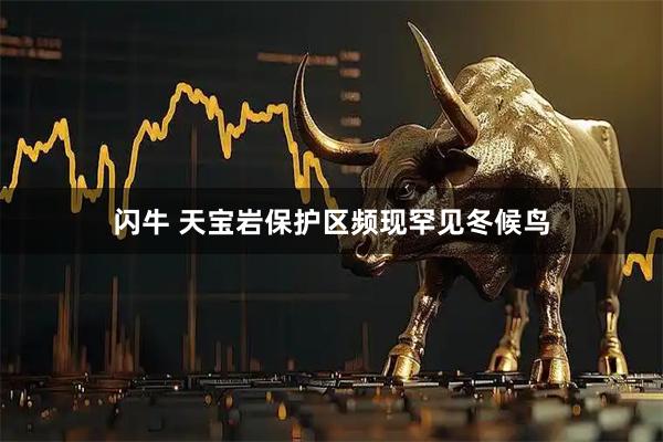 闪牛 天宝岩保护区频现罕见冬候鸟