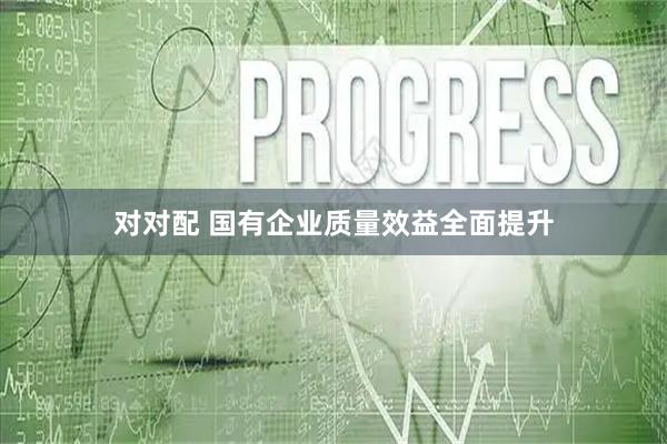对对配 国有企业质量效益全面提升