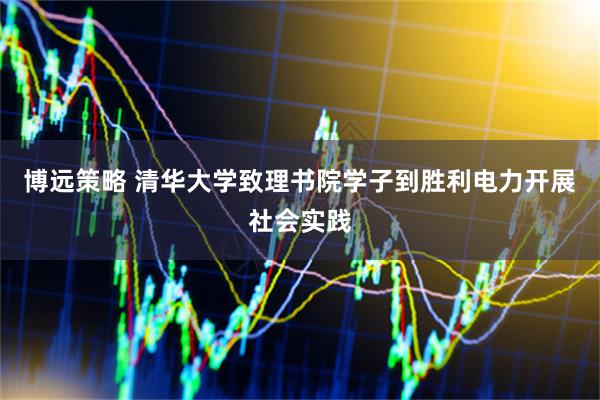 博远策略 清华大学致理书院学子到胜利电力开展社会实践